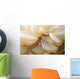 Bubble Coral Shrimp Lembeh Wall Decal Design 1