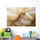 Bubble Coral Shrimp Lembeh Wall Decal Design 1