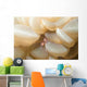 Bubble Coral Shrimp Lembeh Wall Decal Design 1