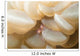 Bubble Coral Shrimp Lembeh Wall Decal Design 1