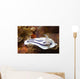 Loch's Chromodoris Nudibranch Lembeh Wall Decal