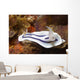 Loch's Chromodoris Nudibranch Lembeh Wall Decal