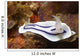 Loch's Chromodoris Nudibranch Lembeh Wall Decal