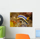 Anna's Chromodoris Nudibranch Lembeh Wall Decal