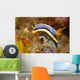 Anna's Chromodoris Nudibranch Lembeh Wall Decal