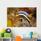 Anna's Chromodoris Nudibranch Lembeh Wall Decal