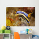 Anna's Chromodoris Nudibranch Lembeh Wall Decal