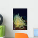 Bennett's Feather Star Lembeh Wall Decal
