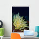Bennett's Feather Star Lembeh Wall Decal
