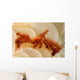Orangutan Crab Covered with Wall Decal