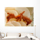 Orangutan Crab Covered with Wall Decal