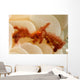 Orangutan Crab Covered with Wall Decal