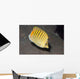Spot-banded Butterflyfish Lembeh Strait Wall Decal