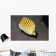 Spot-banded Butterflyfish Lembeh Strait Wall Decal
