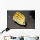 Spot-banded Butterflyfish Lembeh Strait Wall Decal