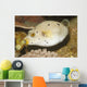 Blackspotted Puffer Arothron Nigropunctatus Wall Decal Design 2