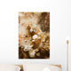 Squat Shrimp Thor Amboinensis Wall Decal