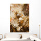 Squat Shrimp Thor Amboinensis Wall Decal