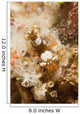 Squat Shrimp Thor Amboinensis Wall Decal