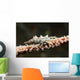 Wire Coral Crab Black Wall Decal