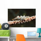 Wire Coral Crab Black Wall Decal