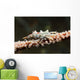 Wire Coral Crab Black Wall Decal
