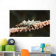 Wire Coral Crab Black Wall Decal