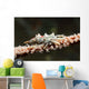 Wire Coral Crab Black Wall Decal