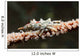 Wire Coral Crab Black Wall Decal