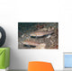 Pair Orange-dashed Gobies Valenciennes Wall Decal