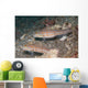 Pair Orange-dashed Gobies Valenciennes Wall Decal