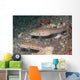 Pair Orange-dashed Gobies Valenciennes Wall Decal