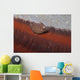 Tiny Juvenile Filefish Tries Wall Decal Design 2