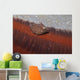 Tiny Juvenile Filefish Tries Wall Decal Design 2