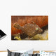 Tiny Juvenile Filefish Tries Wall Decal Design 1