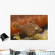 Tiny Juvenile Filefish Tries Wall Decal Design 1