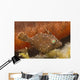 Tiny Juvenile Filefish Tries Wall Decal Design 1