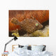 Tiny Juvenile Filefish Tries Wall Decal Design 1