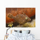 Tiny Juvenile Filefish Tries Wall Decal Design 1