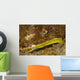 Ribbon Eel Turning from Wall Decal