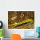 Ribbon Eel Turning from Wall Decal