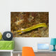 Ribbon Eel Turning from Wall Decal