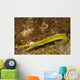 Ribbon Eel Turning from Wall Decal