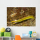 Ribbon Eel Turning from Wall Decal