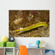 Ribbon Eel Turning from Wall Decal