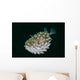 Spotted Burrfish Puffs Itself Wall Decal