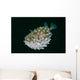 Spotted Burrfish Puffs Itself Wall Decal