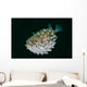 Spotted Burrfish Puffs Itself Wall Decal