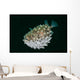 Spotted Burrfish Puffs Itself Wall Decal