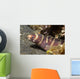 Small Adult Barred Moray Wall Decal